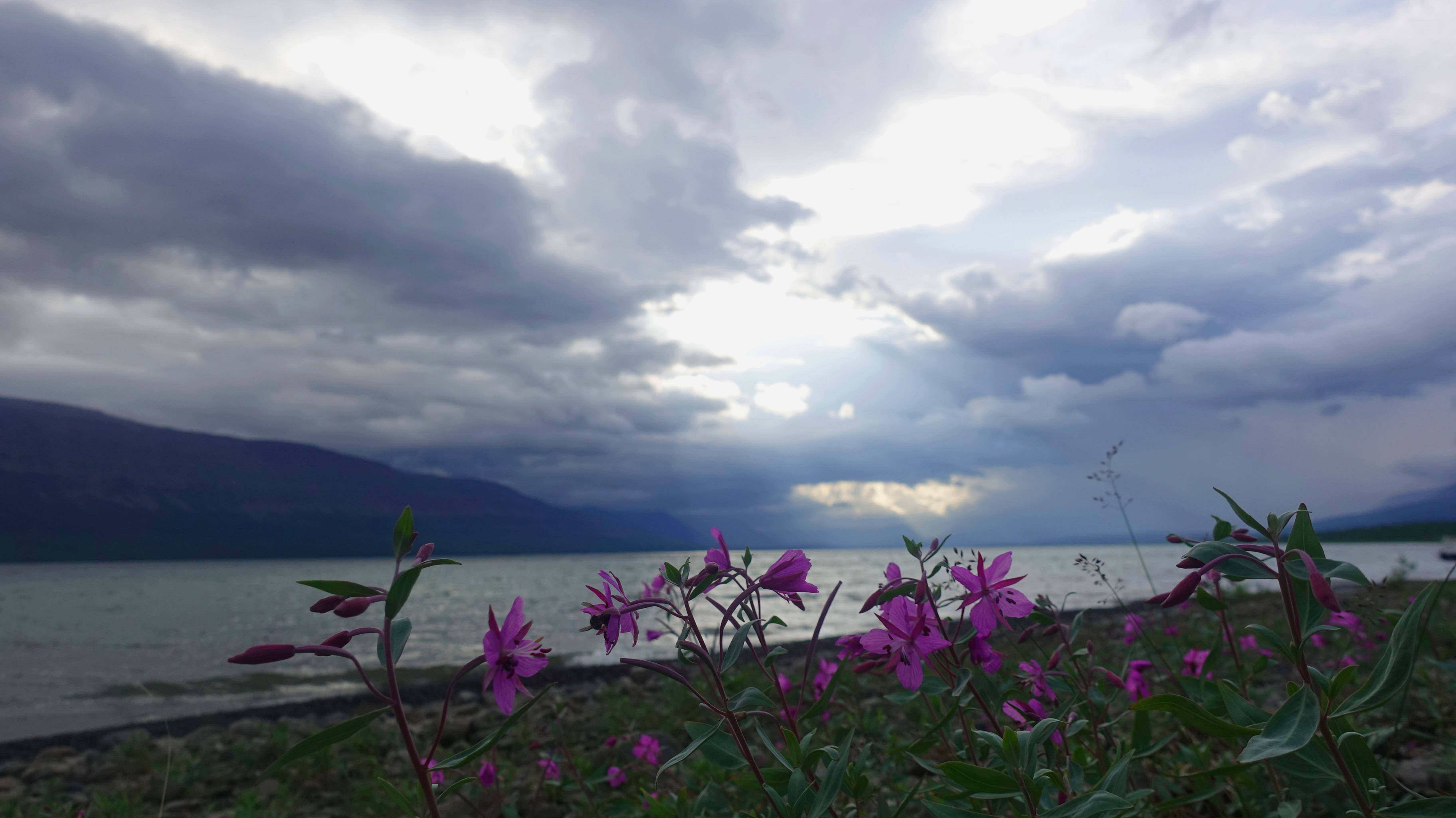 Плато Путорана, часть 5, озеро Глубокое-река Глубокая смотреть онлайн