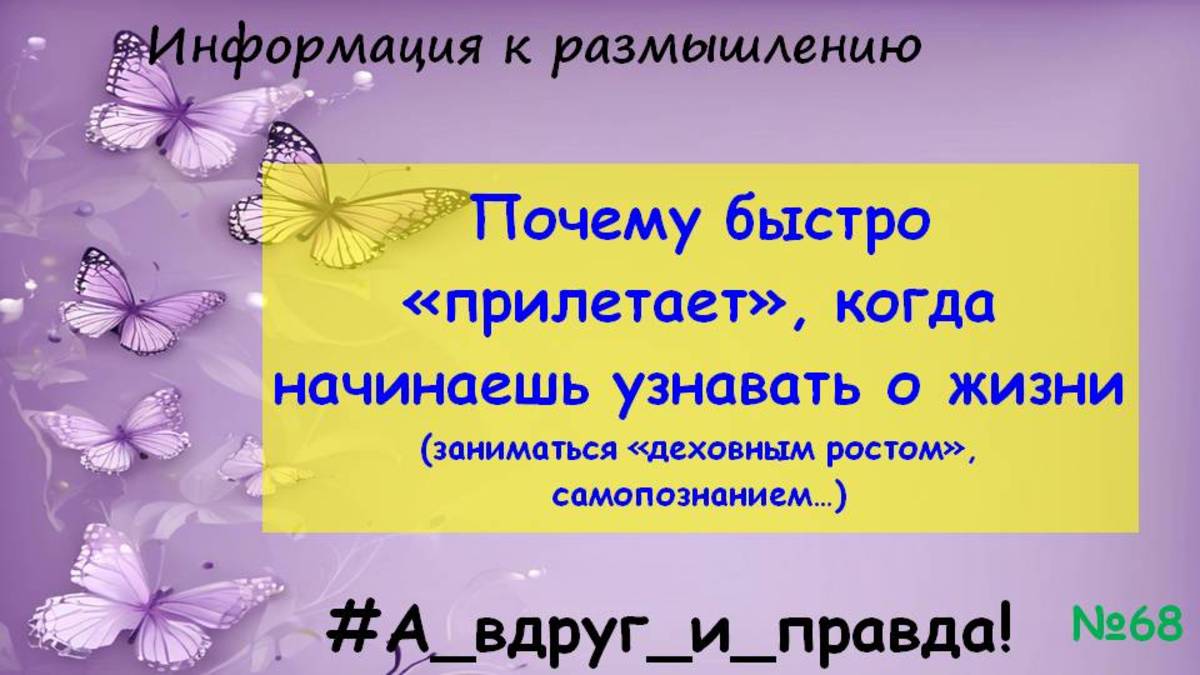 Догони меня кирпич или Скорость, исполнение, осознанность смотреть онлайн