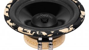 Обзор динамиков DL Audio Python 165 Comp