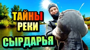 СЫРДАРЬЯ! Тайны Самой Длинной Реки Центральной Азии!