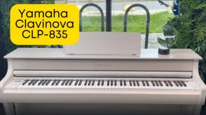 ВХОД В ПРОФЕССИОНАЛЬНУЮ ЛИГУ - Yamaha CLP-835 | Vismedia | Висмедиа | Самый крупный клавишный салон