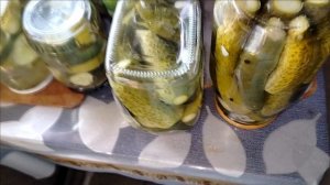 ПРОСТАЯ ЖИЗНЬ 45 //ПРОГУЛКА В  ГОРОДСКОМ САДУ //КУПИЛА СЛИВЫ// СЪЕЗДИЛА НА  ВСТРЕЧУ