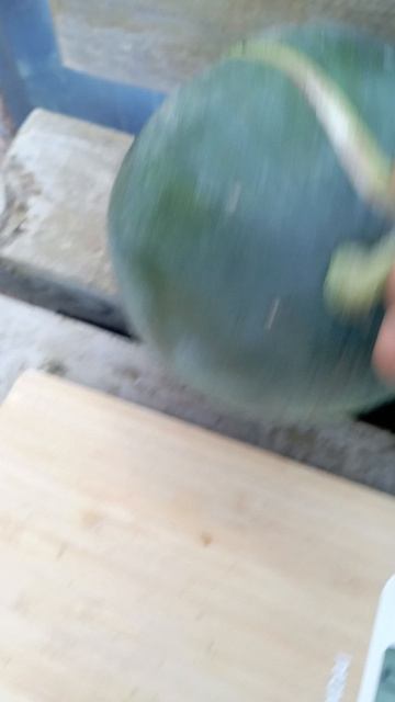 /урожай арбузов/арбузы/урожай 2025/ смотреть онлайн