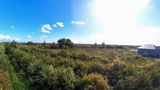 9581196 смотреть онлайн