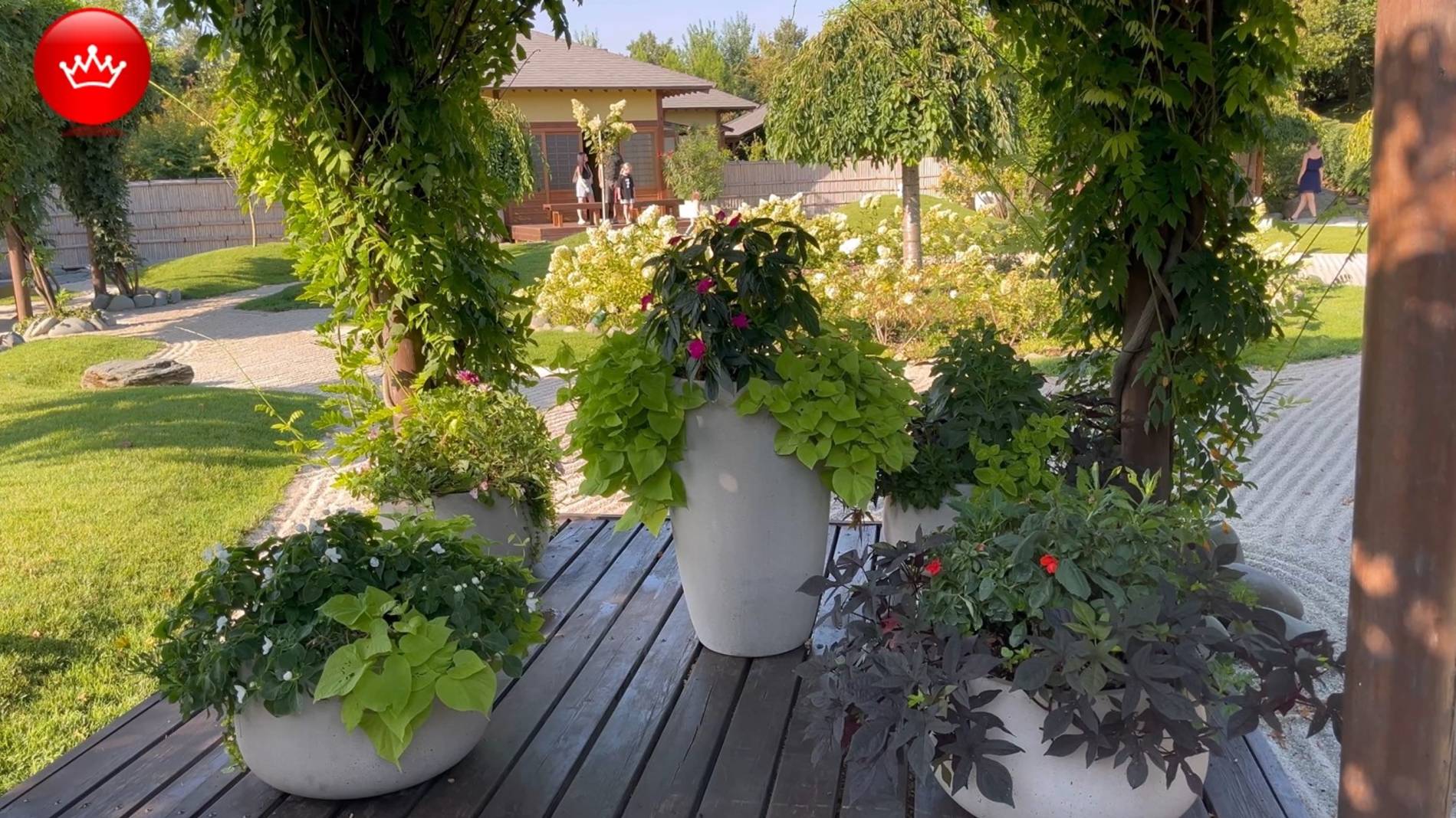 🐿️В Парке Галицкого Японский сад Август 2025. смотреть онлайн