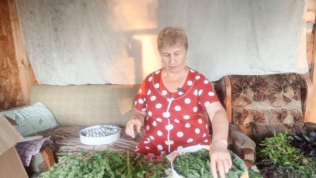 Ароматное занятие. смотреть онлайн