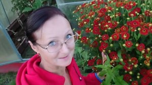 Видео привет с 6 соток 15 августа 2025 года.