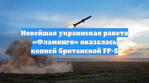 Новейшая украинская ракета «Фламинго» оказалась копией британской FP-5