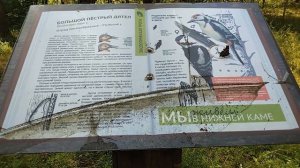 Экотропа "Корабельная роща" в Боровецком лесу