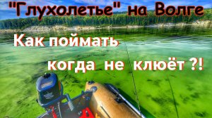 ПОИСК И ЛОВЛЯ СУДАКА В АВГУСТЕ/ РЫБАЛКА НА СПИННИНИНГ/ СУДАК НА СИЛИКОН/ КУЙБЫШЕВСКОЕ ВДХР./ТОЛЬЯТТИ