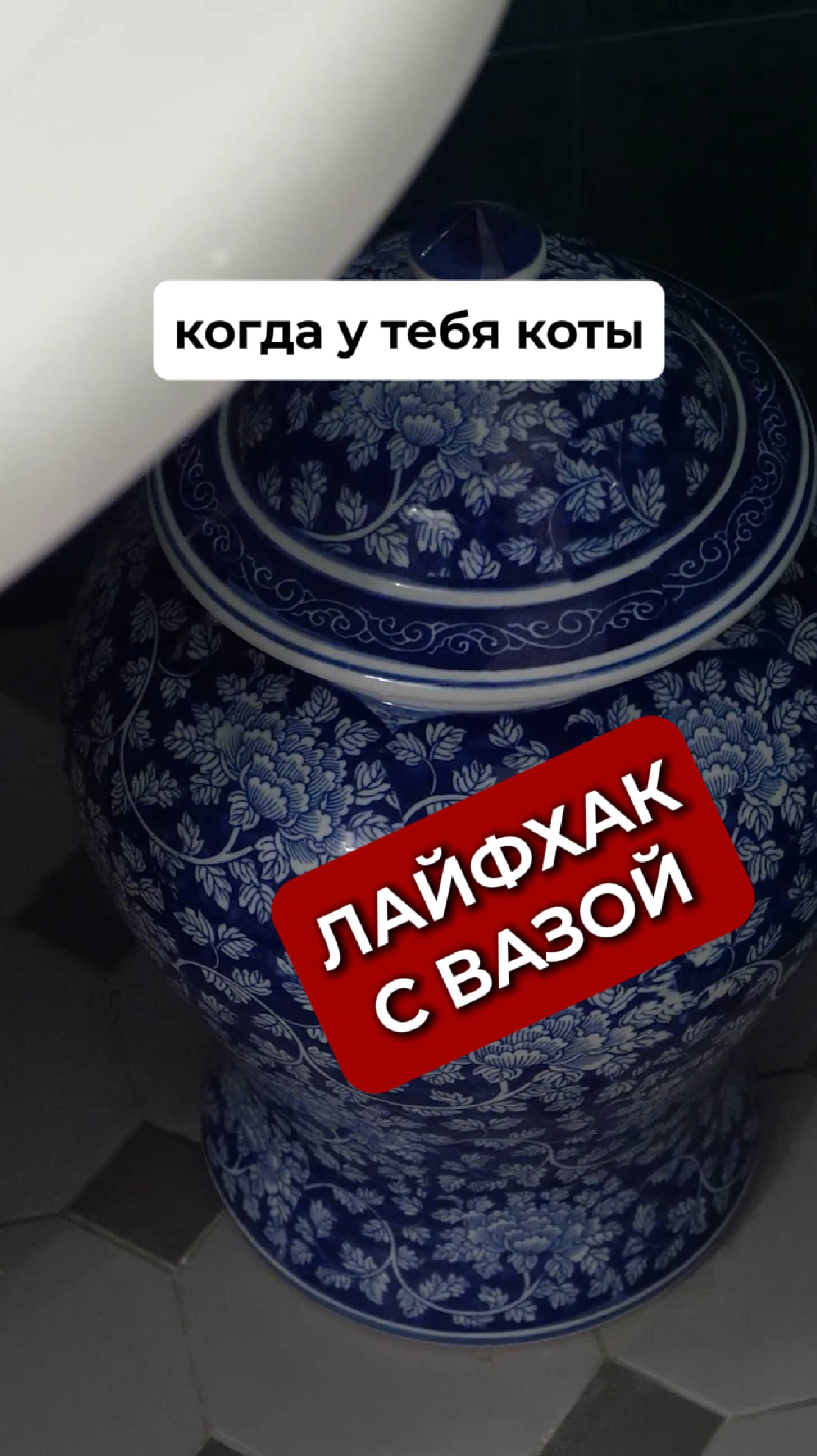 Китайцам вход воспрещен: что скрывают мои АНТИКВАРНЫЕ вазы? смотреть онлайн
