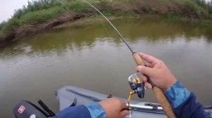 Небольшая рыбалка: охота за голавлем
