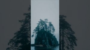 Песня "Спой мне песню, птица сизокрылая"