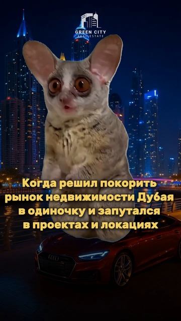 🔥 Запутался в недвижимости Дубая? Не повторяй чужих ошибок!