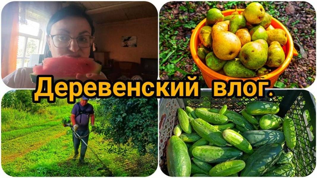 ПРИШЛИ НЕЗВАННЫЕ ГОСТИ 😀🐓🐔🐔🐔 ПРОБУЕМ ПЕРВЫЙ 🍉 В ЭТОМ ГОДУ. смотреть онлайн