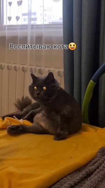 2025-08-17 смотреть онлайн