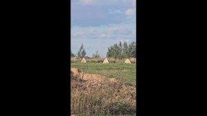 Дрона 10 дюймов "Жужелица" в воздухе