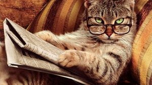 Красивые пожелания доброго вечера и спокойной ночи - Приятного доброго вечера красивые пожелания