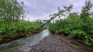 Плато Путорана, часть 4, Озеро Собачье-река Муксун