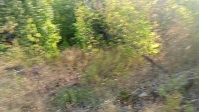 гуляем от моего района до парка смотреть онлайн