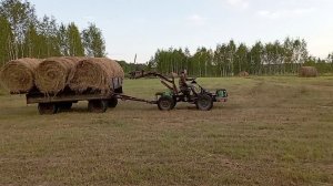 СМТ Скорпион в работе. Вывозим рулоны сена с покоса.