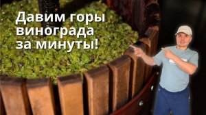 Давим виноград на вино — быстрый способ для домашнего вина