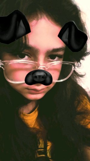 ✧общение✧