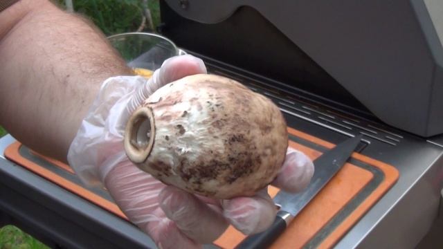 ЦЫПЛЯТА- ГРИЛЬ НА ВЕРТЕЛЕ В ГАЗОВОМ ГРИЛЕ PRIMELINER!) ЖАРЮ НЕОБЫЧНЫЙ ГРИБ В КЛЯРЕ!) смотреть онлайн