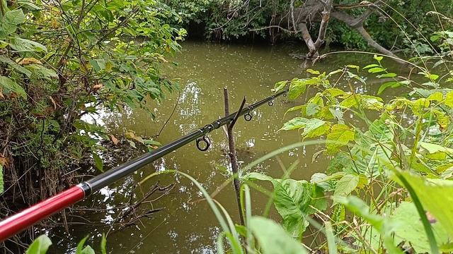 речка Актазики