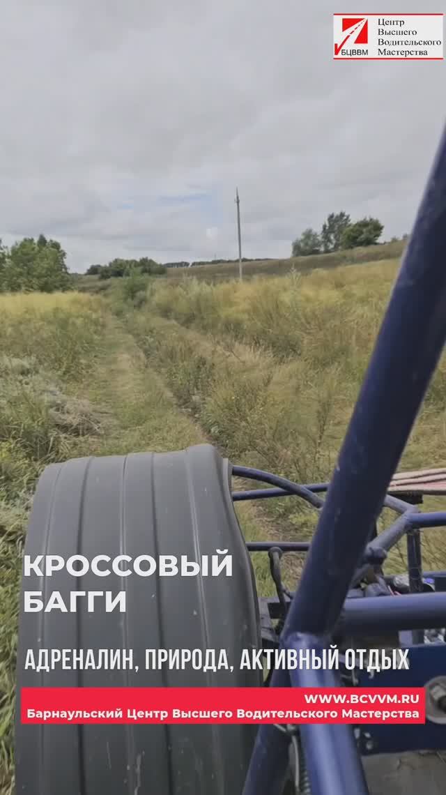 Багги прокат, аренда в Барнауле. 10.08.2025