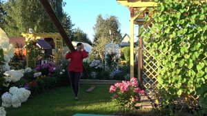 6 соток 15 августа 2025 года. 2 часть