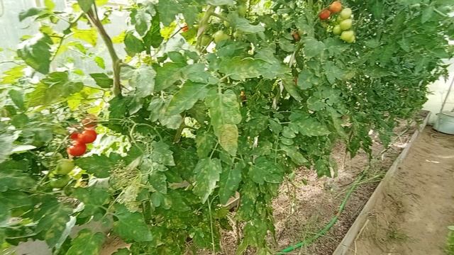 Антарктида 88 2 часть