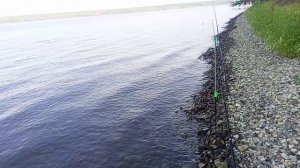Сурское водохранилище 2025 год