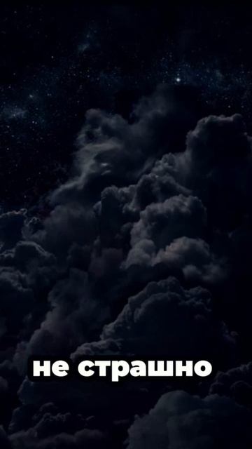 В чем смысл жизни