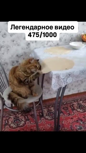 A269e0c925c94f61a6ede18b4486e969