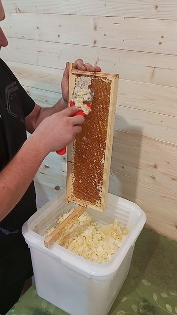 Распечатка сот 13 августа 2025 года смотреть онлайн