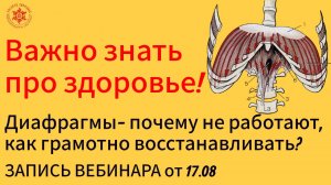 Важно знать про здоровье! Диафрагмы- как грамотно восстанавливать? Запись вебинара