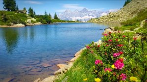 Relax video HD 40 / Гармония с Природой