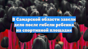 В Самарской области завели дело после гибели ребенка на спортивной площадке