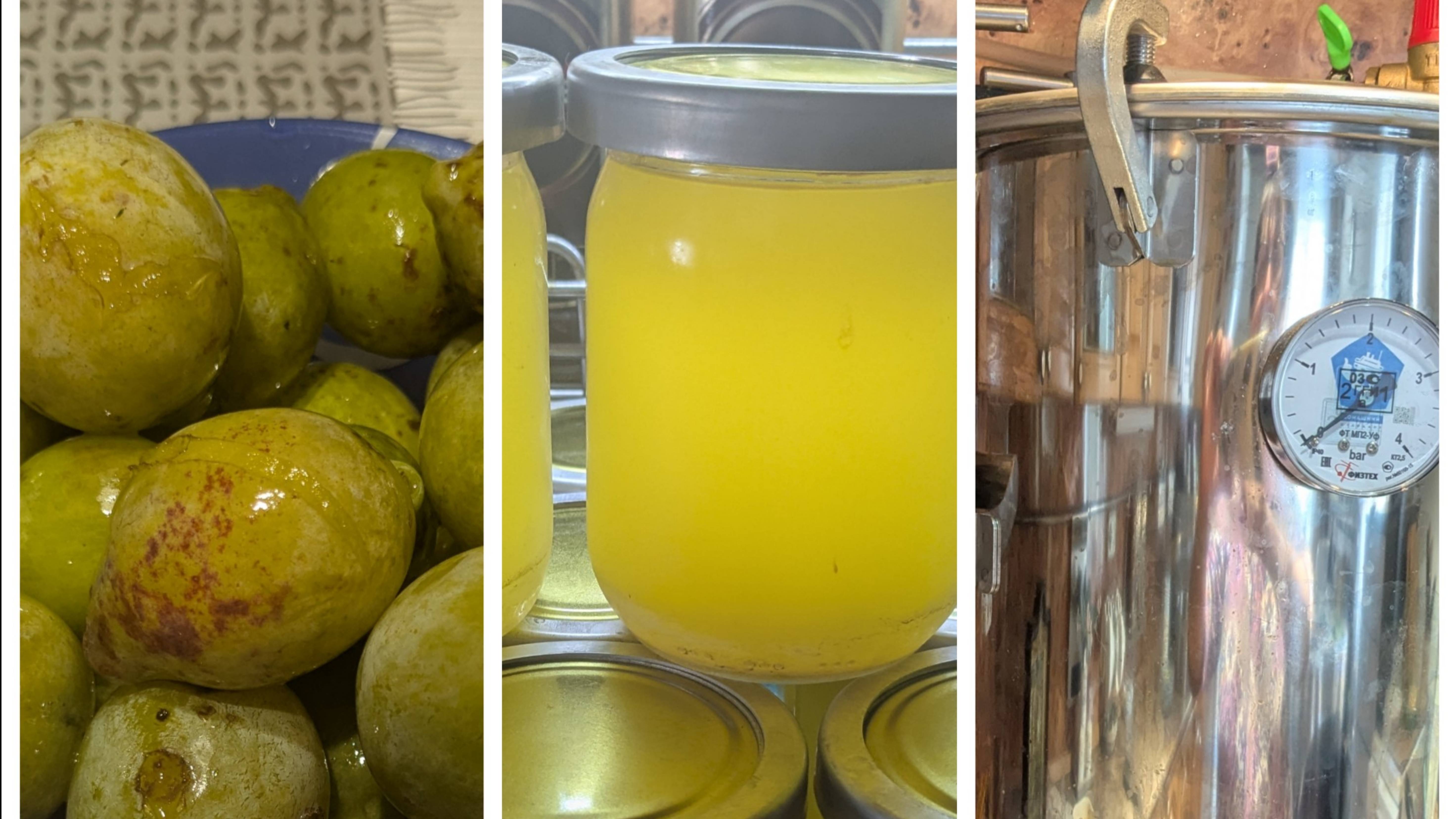 Прибираю картофельные гряды,фрукты осыпаются. Автоклавирую куриный жир. смотреть онлайн