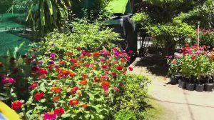 Остров Орхидей: путешествие, которое меняет взгляд на мир | Нячанг, Вьетнам.