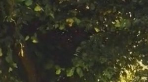 Жизнь до и после тебя Жизненные истории из реальной жизни слушать