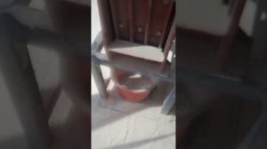Изготовление белой плитки из известняка