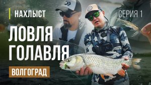ВОЛГОГРАД ловля крупного ГОЛАВЛЯ нахлыстом. Незабываемая рыбалка, мушки для ловли.