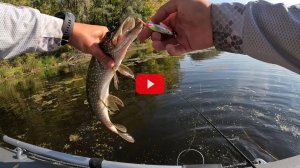 Атом М: почему эта блесна стала легендой среди рыбаков. Большой обзор и ловля на практике.