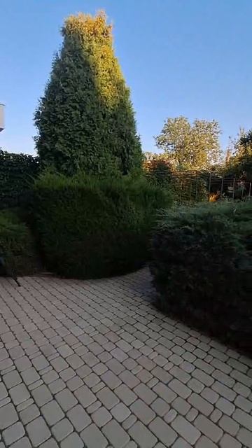 9604553 смотреть онлайн