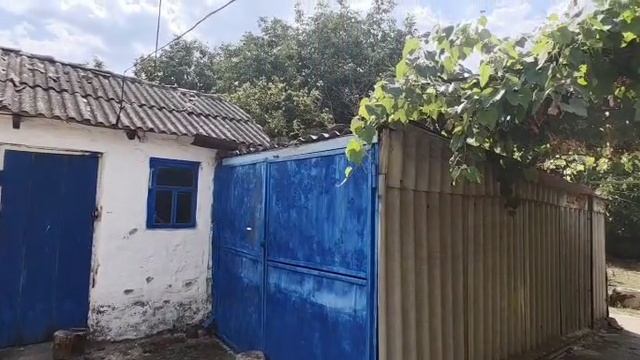 VID-20250810-WA0049 смотреть онлайн