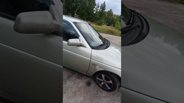 VID_20250818_164121.mp4 смотреть онлайн