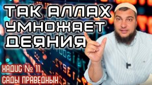 Хадис 11: Так Аллах умножает твои дела