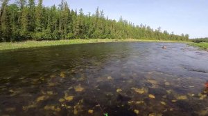 Рыбак Сибиряк на классной рыбалке! Часть 2-я.